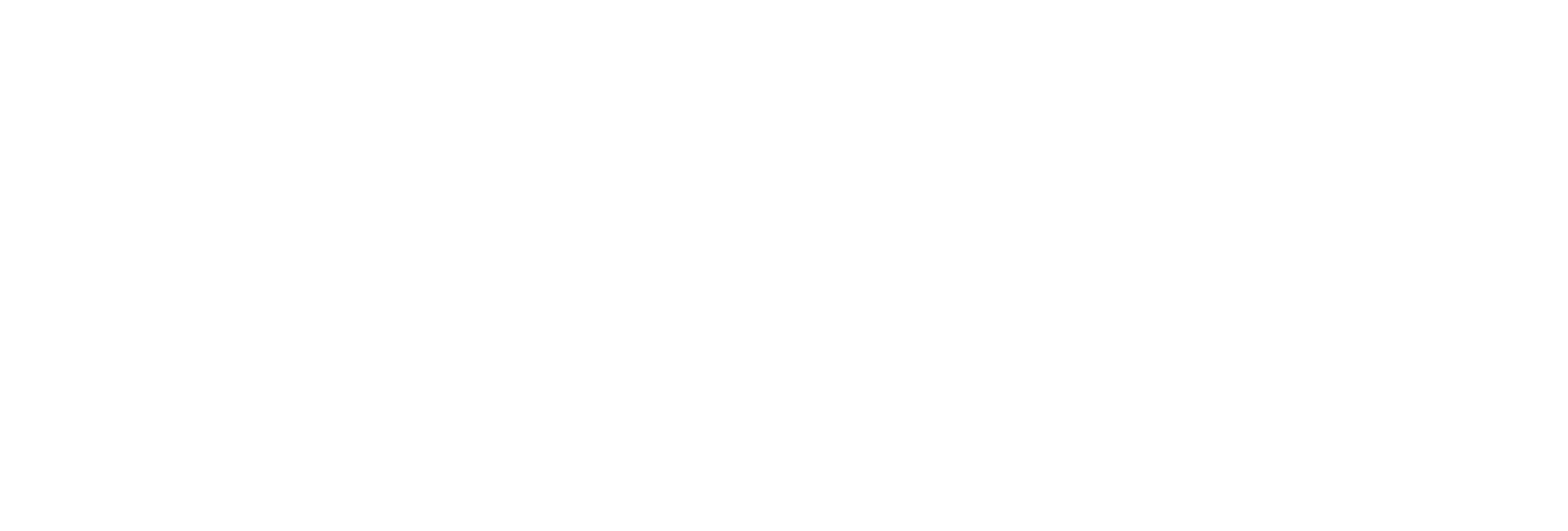 Brady LDN